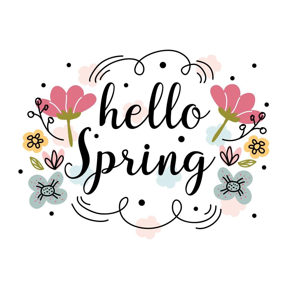 hello spring vector background